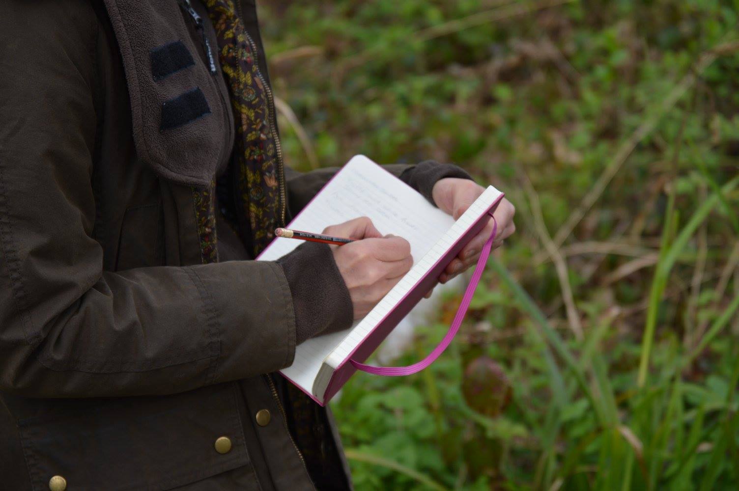 Advanced Herbal Medicine course Laura Carpenter